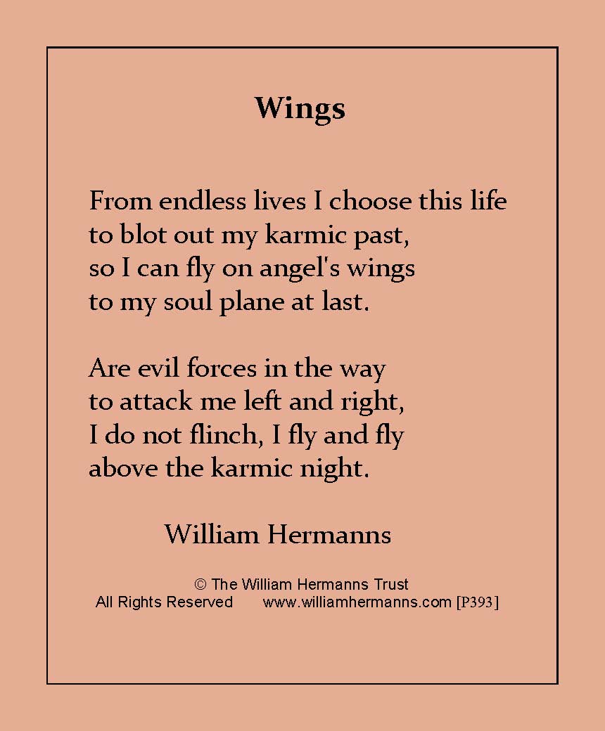 Wings by William Hermanns