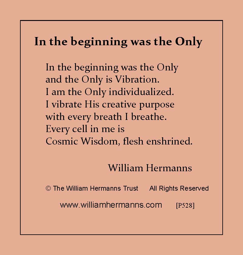 Inthe Beginning Was the Only by William Hermanns